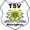 TSV Mosigkau 1894 AH