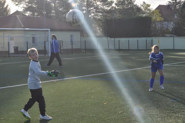 14.11.2015 Dessauer SV 97 vs. SG Obaum-Wörlitz