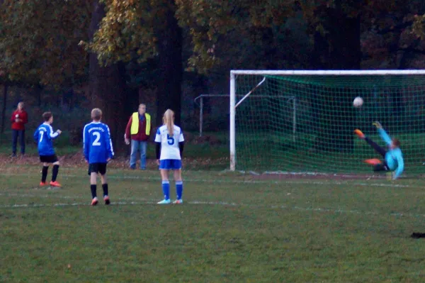 28.10.2015 Waldersee/Mildensee vs. Dessauer SV 97