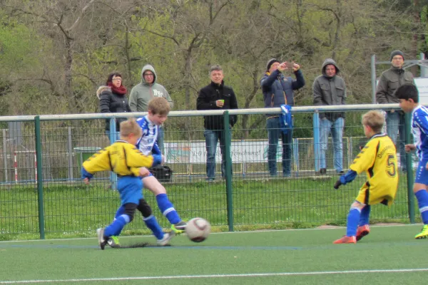 24.04.2016 Dessauer SV 97 vs. Blau-Weiß Dessau