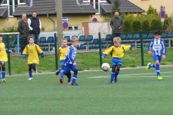 24.04.2016 Dessauer SV 97 vs. Blau-Weiß Dessau