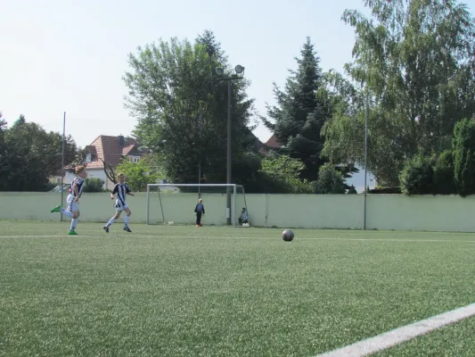 05.06.2016 Dessauer SV 97 vs. TUS Kochstedt