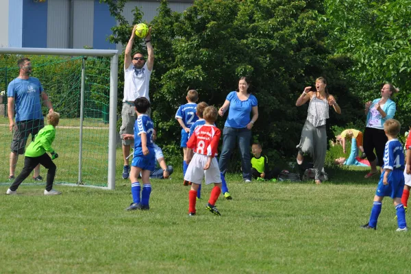 12.06.2016 Blau-Weiß Dessau vs. Dessauer SV 97