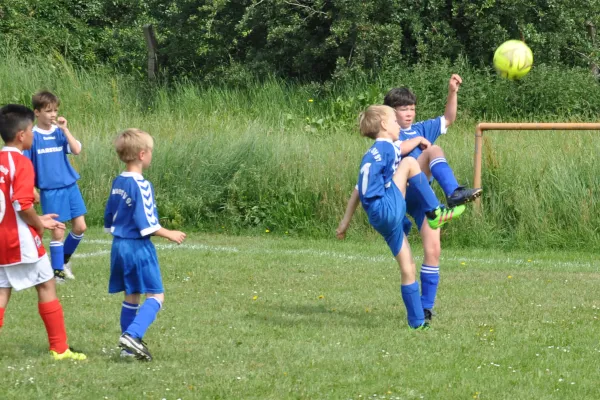 12.06.2016 Blau-Weiß Dessau vs. Dessauer SV 97