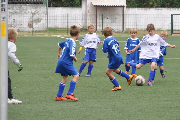 04.09.2016 Dessauer SV 97 vs. Germania Roßlau