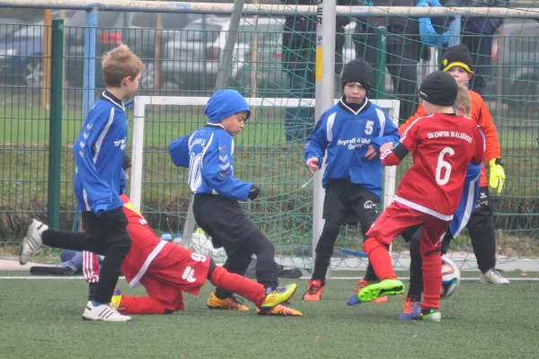 12.11.2016 Dessauer SV 97 vs. Waldersee/Mildensee