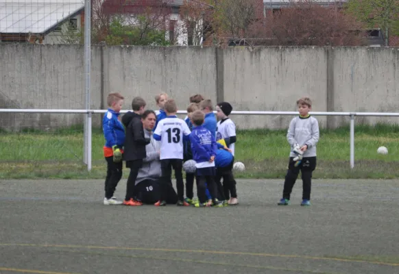 23.04.2017 TSV Rot-Weiß Zerbst vs. Dessauer SV 97