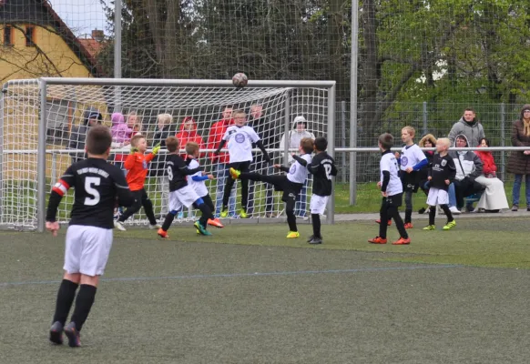 23.04.2017 TSV Rot-Weiß Zerbst vs. Dessauer SV 97