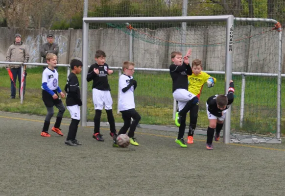 23.04.2017 TSV Rot-Weiß Zerbst vs. Dessauer SV 97