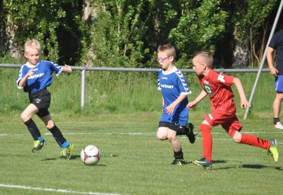 18.05.2017 Waldersee/Mildensee vs. Dessauer SV 97