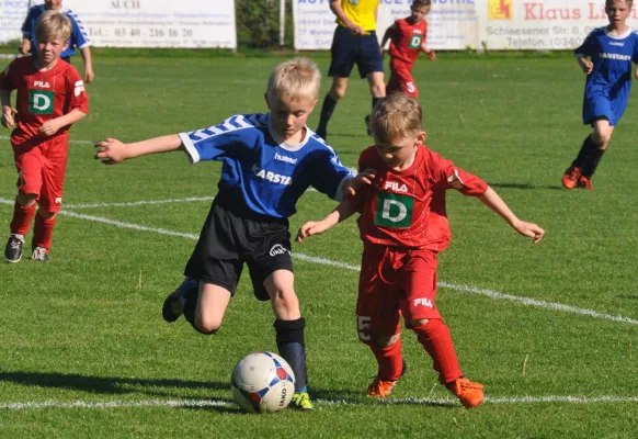 18.05.2017 Waldersee/Mildensee vs. Dessauer SV 97