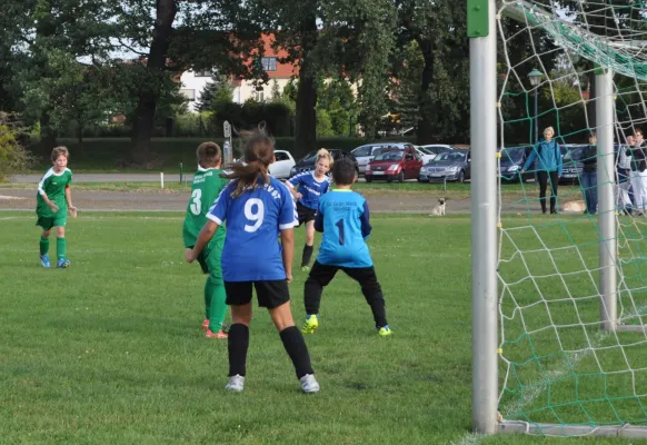 07.09.2017 SV Grün-Weiß Wörlitz vs. Dessauer SV 97