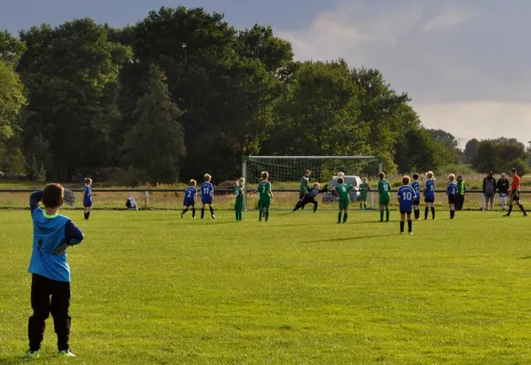 07.09.2017 SV Grün-Weiß Wörlitz vs. Dessauer SV 97