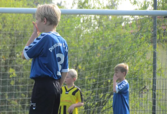 23.09.2017 Dessauer SV 97 vs. BSV Deetz/Lindau