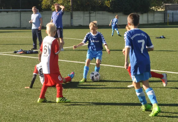 15.10.2017 Dessauer SV 97 vs. TSV Rot-Weiß Zerbst