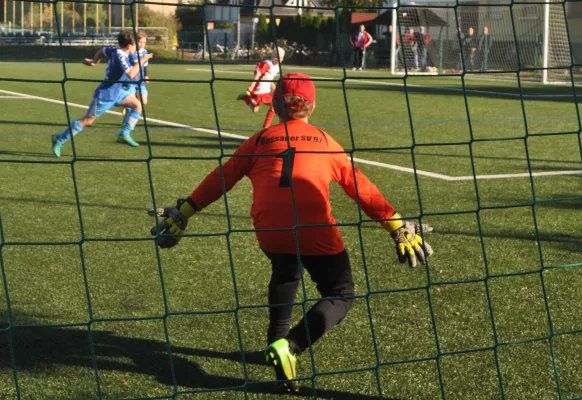 15.10.2017 Dessauer SV 97 vs. TSV Rot-Weiß Zerbst