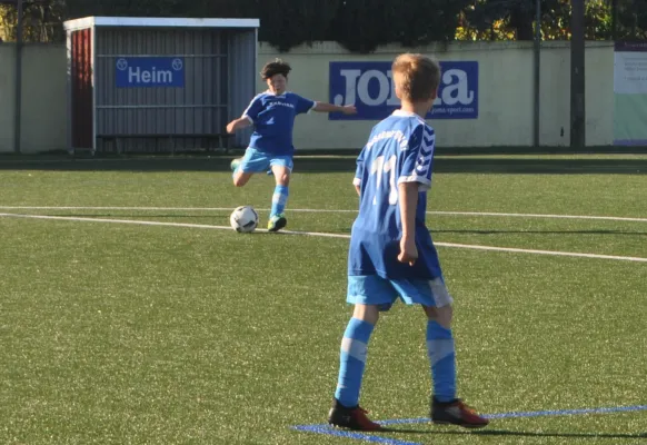 15.10.2017 Dessauer SV 97 vs. TSV Rot-Weiß Zerbst