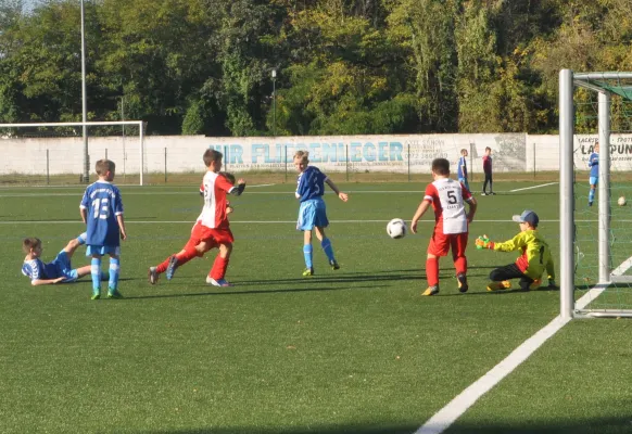 15.10.2017 Dessauer SV 97 vs. TSV Rot-Weiß Zerbst