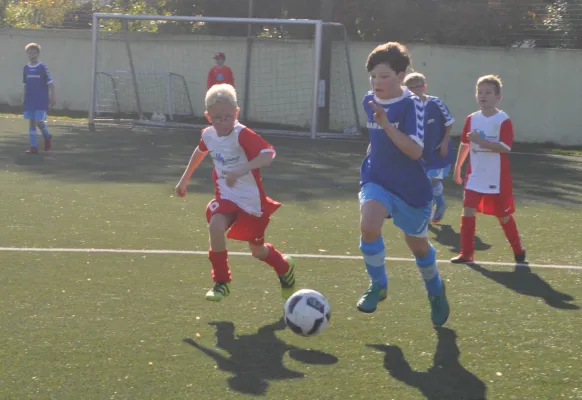 15.10.2017 Dessauer SV 97 vs. TSV Rot-Weiß Zerbst