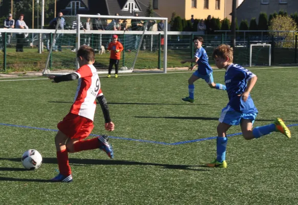 15.10.2017 Dessauer SV 97 vs. TSV Rot-Weiß Zerbst