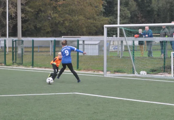 21.10.2017 Dessauer SV 97 vs. SV Chemie Rodleben