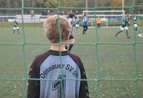 21.10.2017 Dessauer SV 97 vs. SV Chemie Rodleben