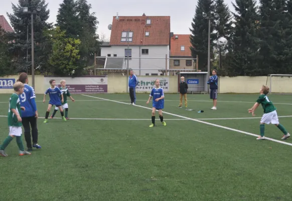 21.10.2017 Dessauer SV 97 vs. SV Chemie Rodleben