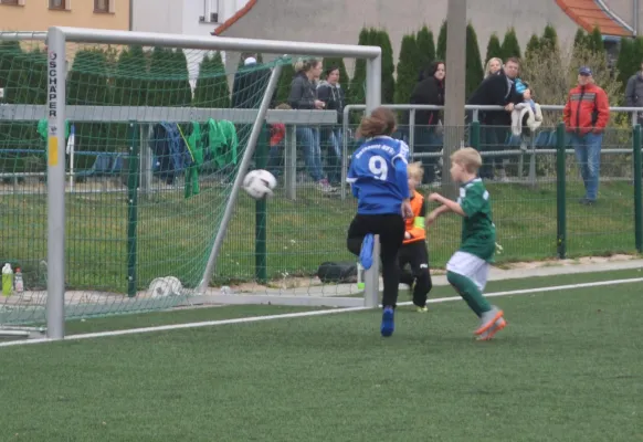 21.10.2017 Dessauer SV 97 vs. SV Chemie Rodleben