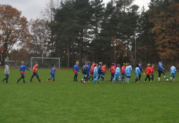 18.11.2017 SG Coswig/Klieken vs. Dessauer SV 97