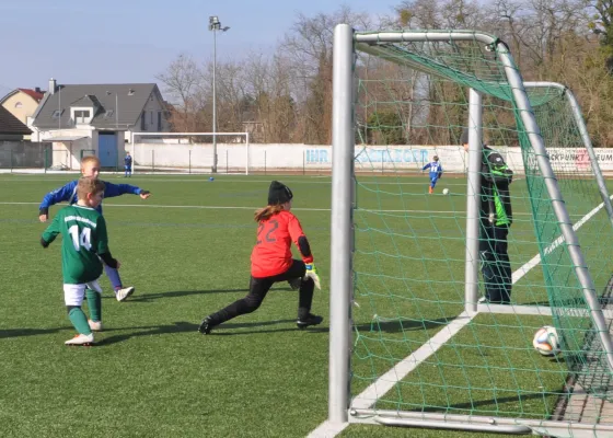 24.03.2018 Dessauer SV 97 vs. SV Chemie Rodleben