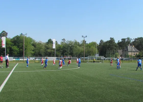 26.05.2018 Dessauer SV 97 vs. TSV Rot-Weiß Zerbst