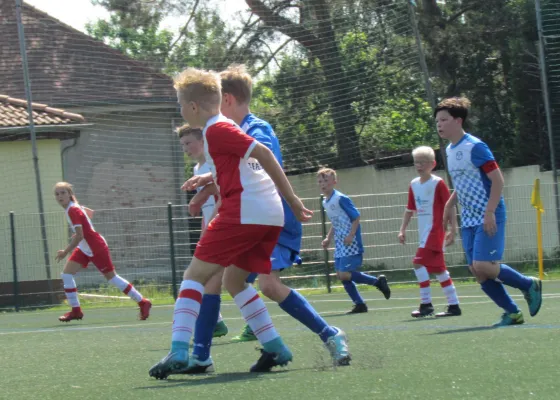 26.05.2018 Dessauer SV 97 vs. TSV Rot-Weiß Zerbst