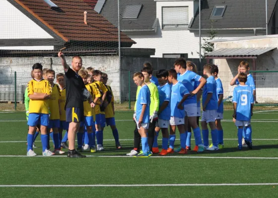 01.09.2018 Dessauer SV 97 vs. SG Blau-Weiß Dessau II