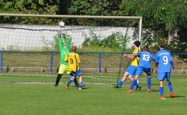 20.09.2020 Dessauer SV 97 vs. NSG Muldestausee II