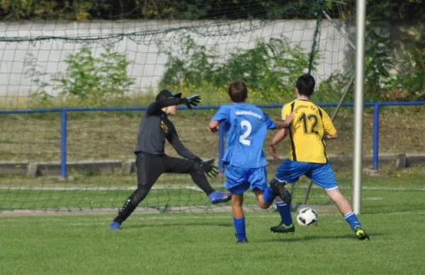 20.09.2020 Dessauer SV 97 vs. NSG Muldestausee II